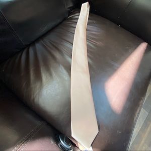 Pucci 💯% Microfiber Stunning Champagne - Dark Ivory Tie